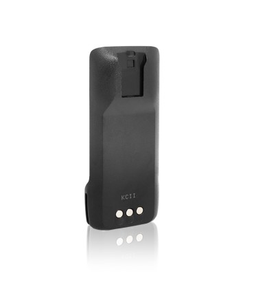 Compatible R2, 2300mAh, Li-Ion. Versión SLIM con alta capacidad y células Panasonic