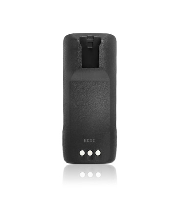 Compatible R2, 2300mAh, Li-Ion. Versión SLIM con alta capacidad y células Panasonic