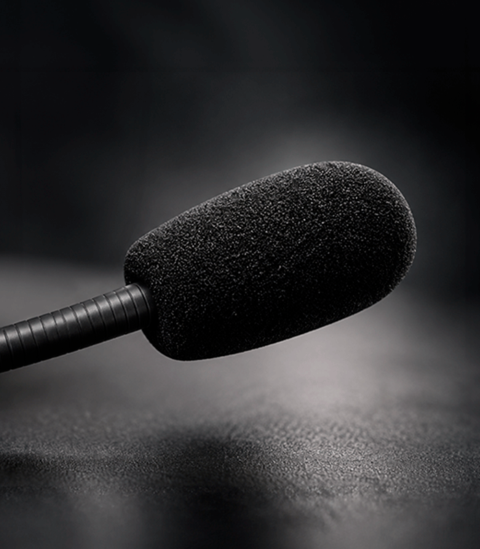 Flexible gooseneck boom microphone